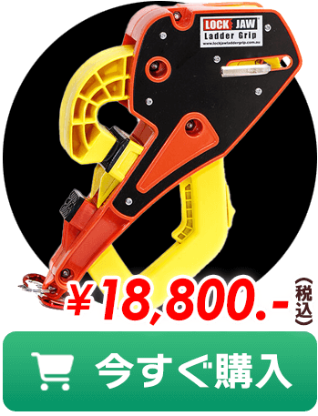 今すぐ購入する