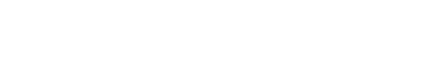 世界基準のはしご安全装置